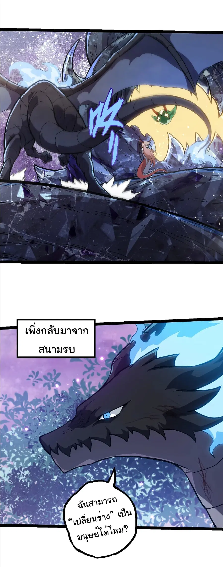 หน้า 22 จาก 29