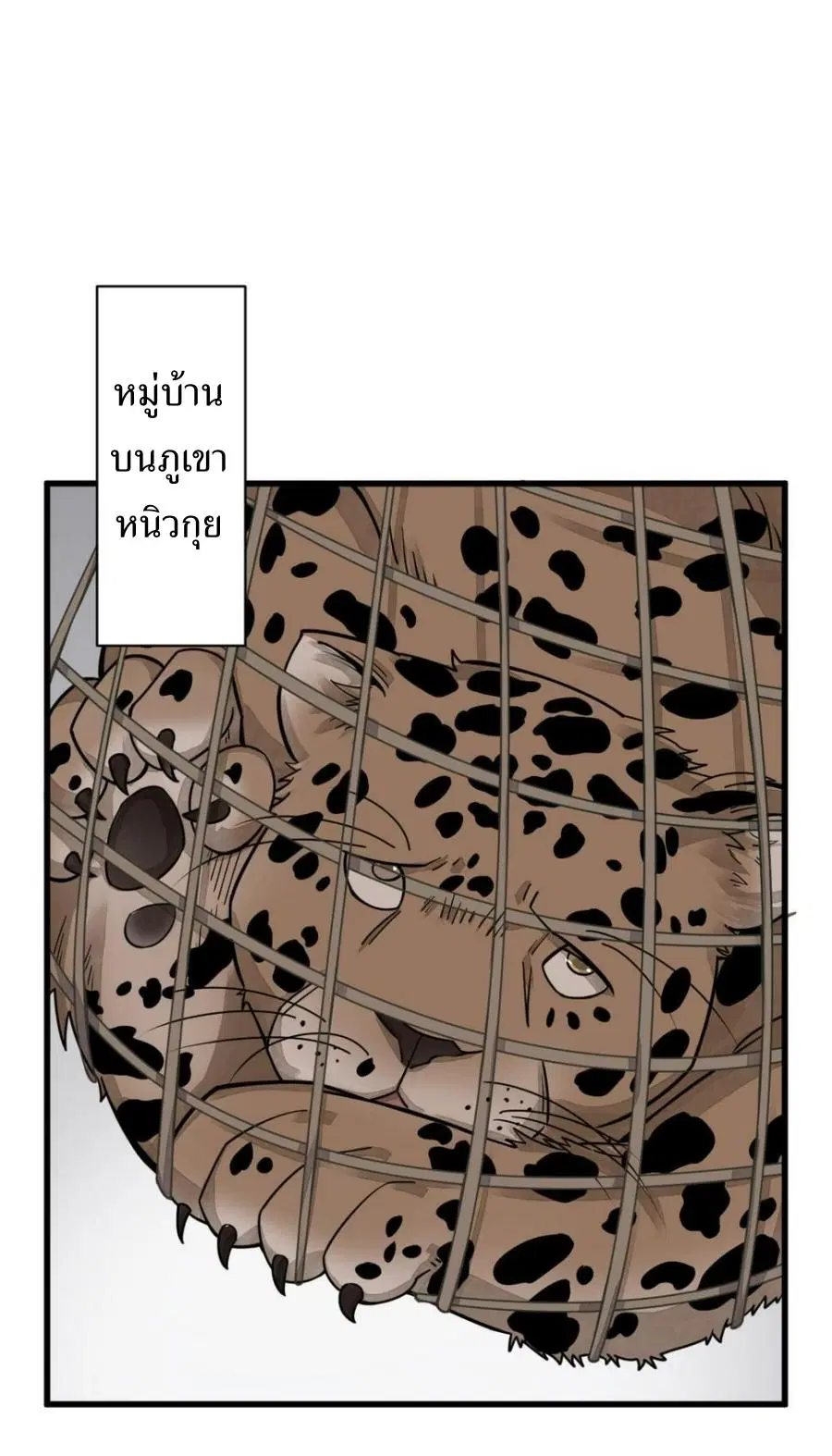 หน้า 8 จาก 38