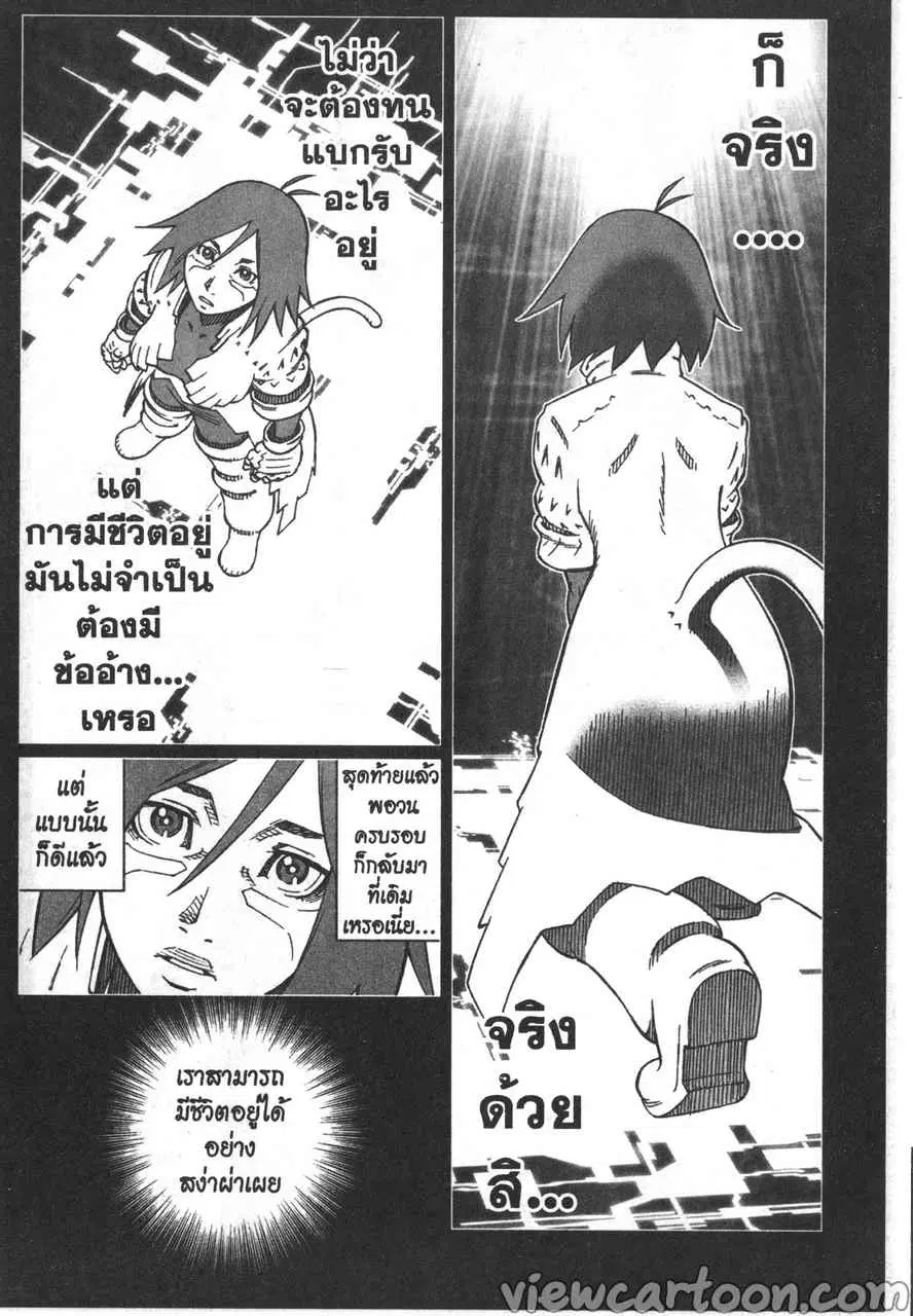 หน้า 24 จาก 31