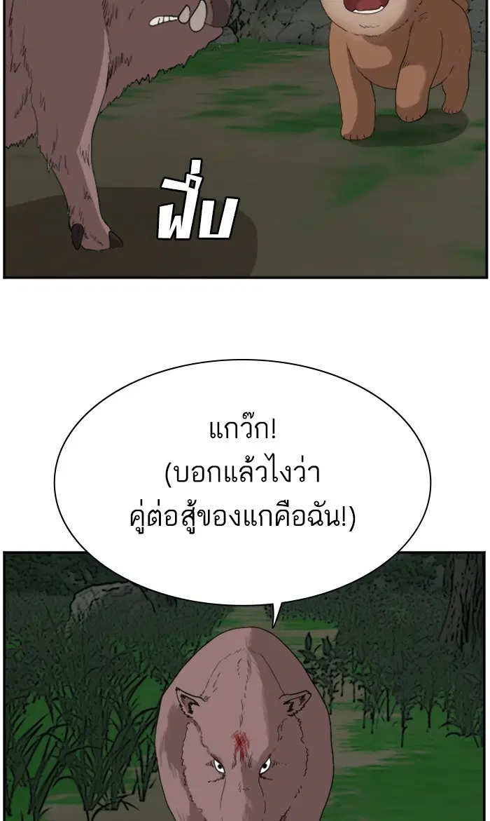 หน้า 71 จาก 107