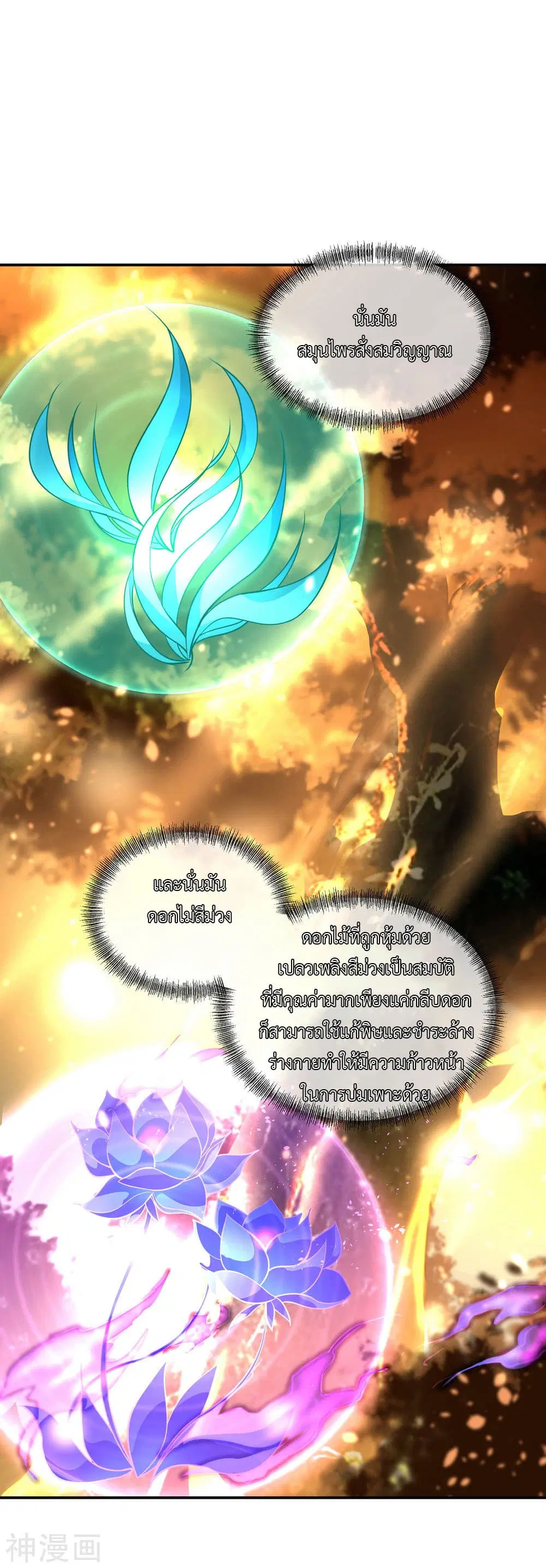 หน้า 26 จาก 31