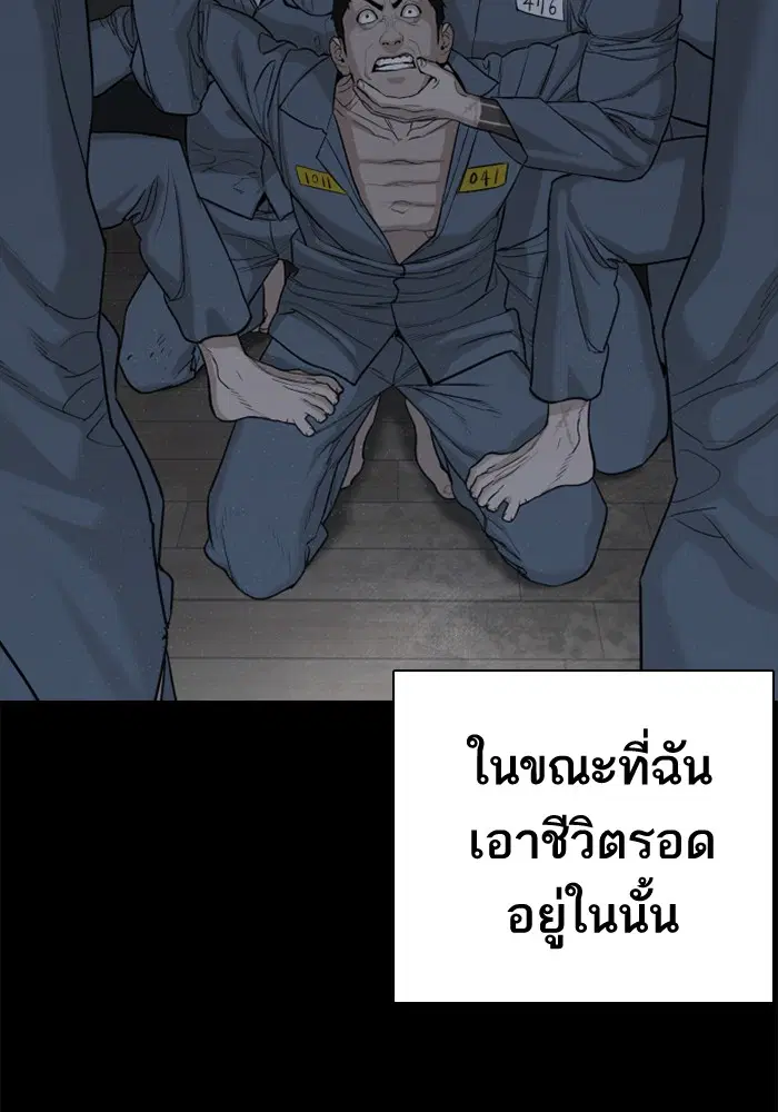 หน้า 113 จาก 199
