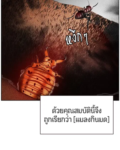 หน้า 109 จาก 171