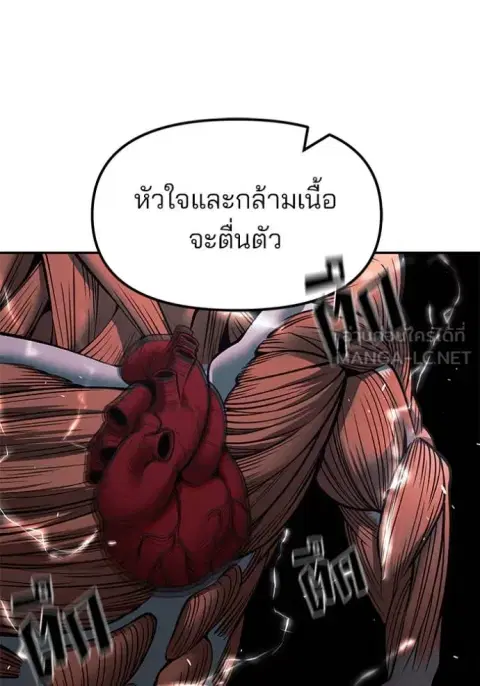 หน้า 181 จาก 209