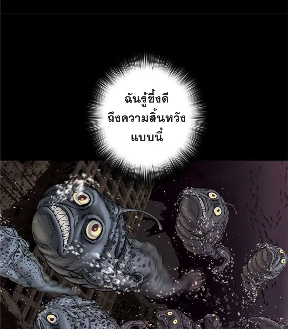 หน้า 27 จาก 66