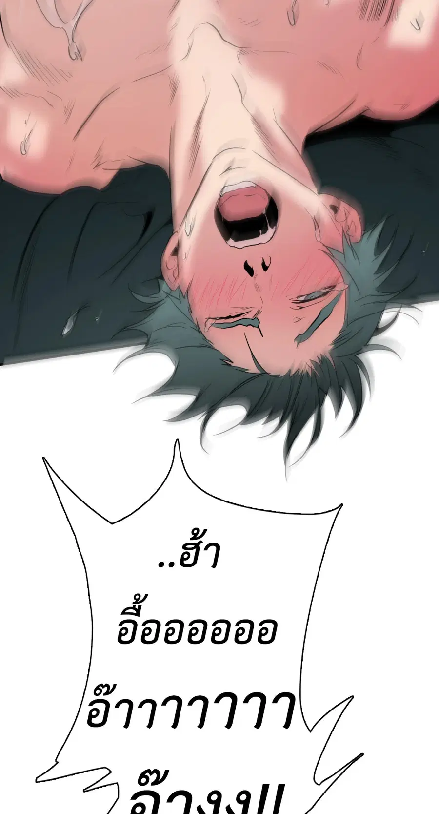 หน้า 28 จาก 67