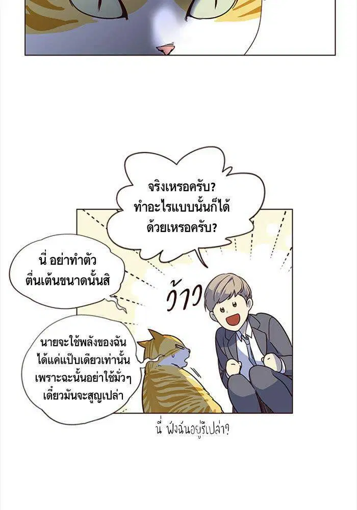 หน้า 51 จาก 98