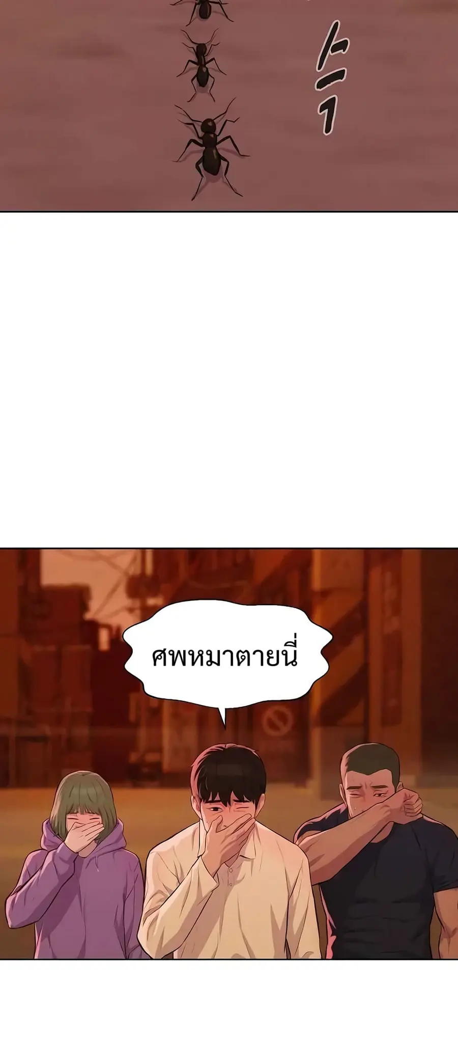 หน้า 44 จาก 56
