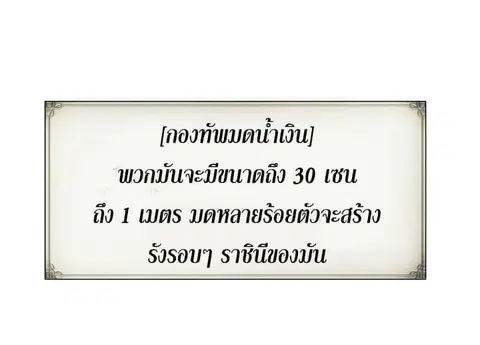 หน้า 36 จาก 64