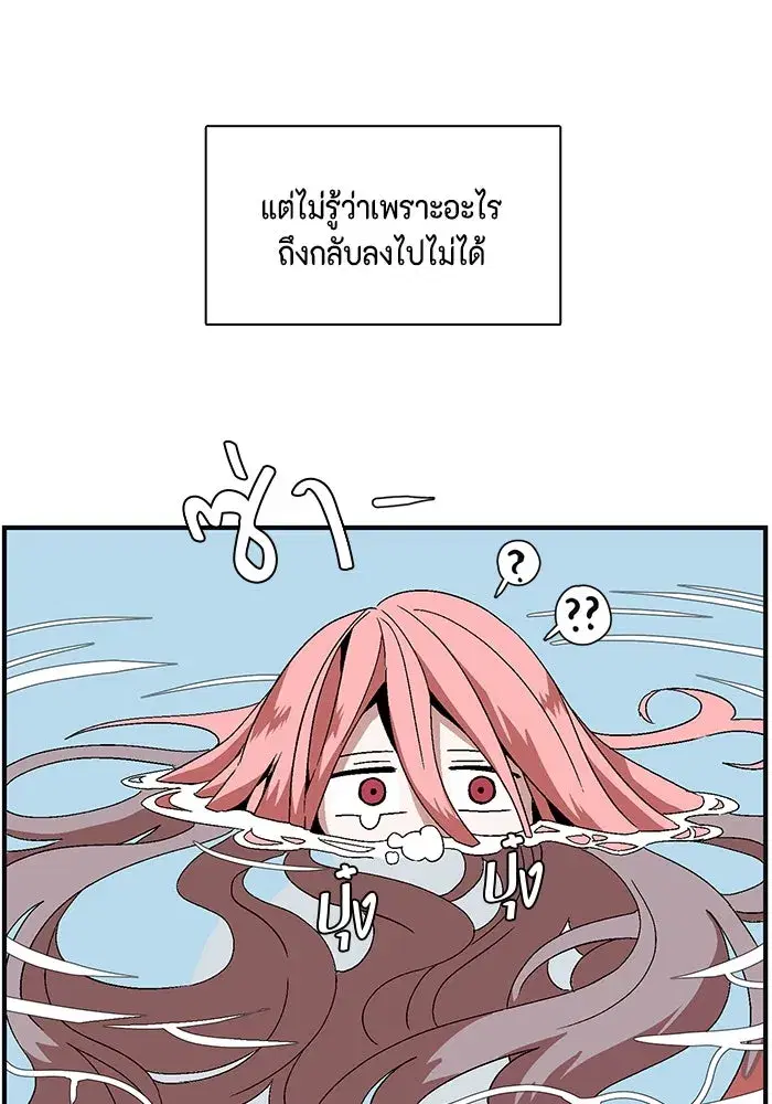 หน้า 146 จาก 252