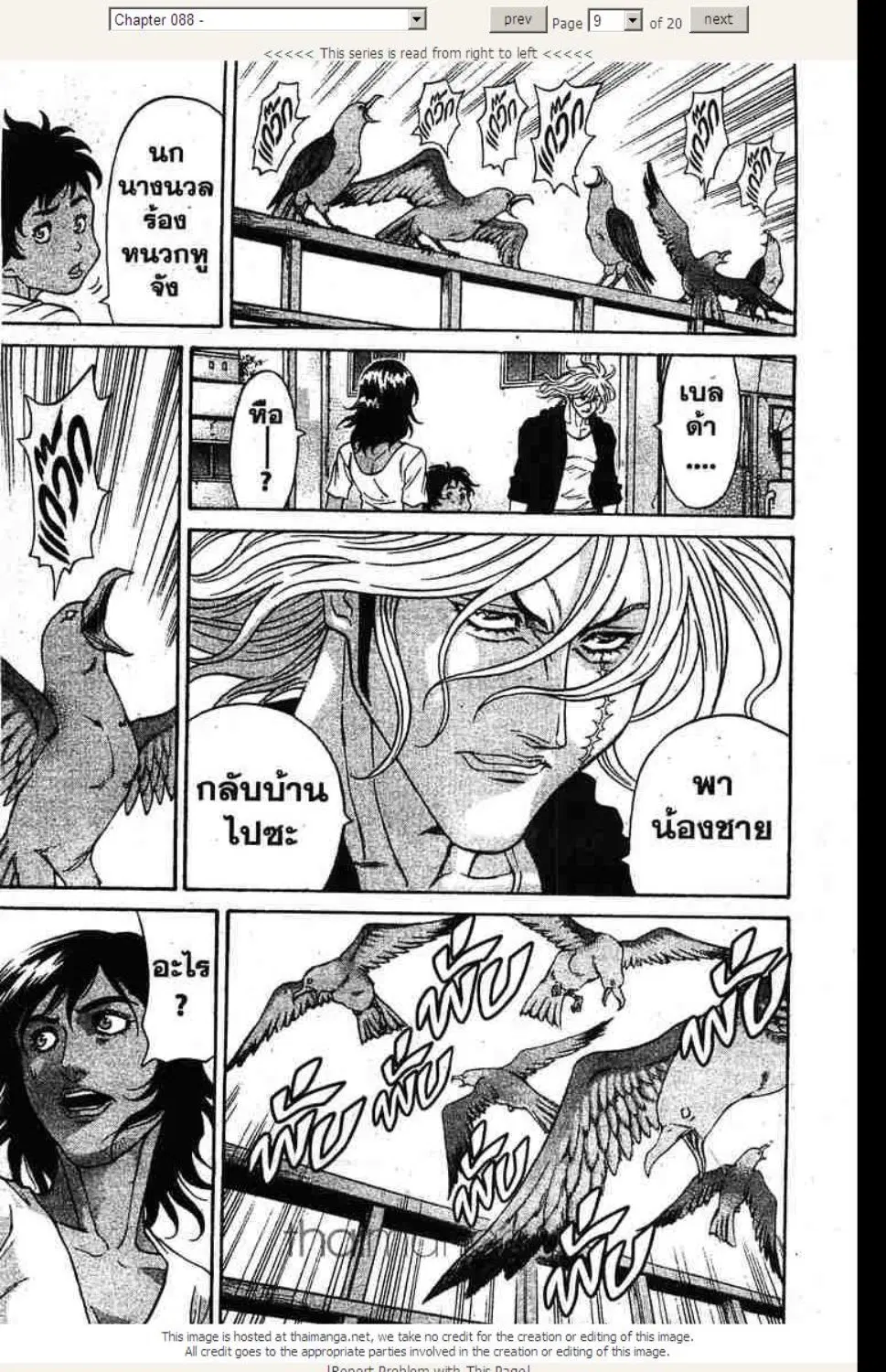 หน้า 9 จาก 20