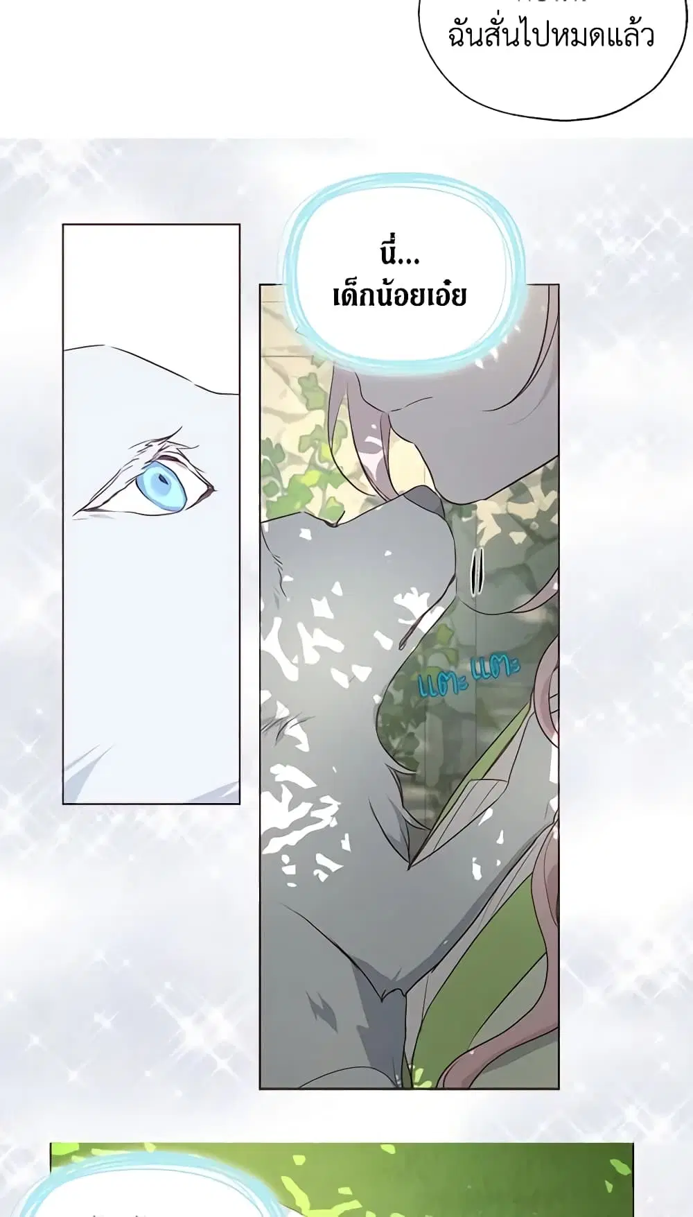 หน้า 40 จาก 41