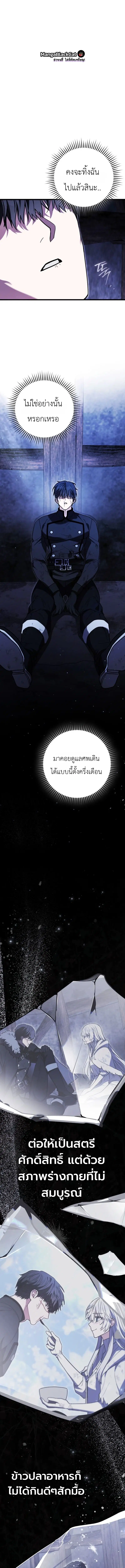 หน้า 13 จาก 29