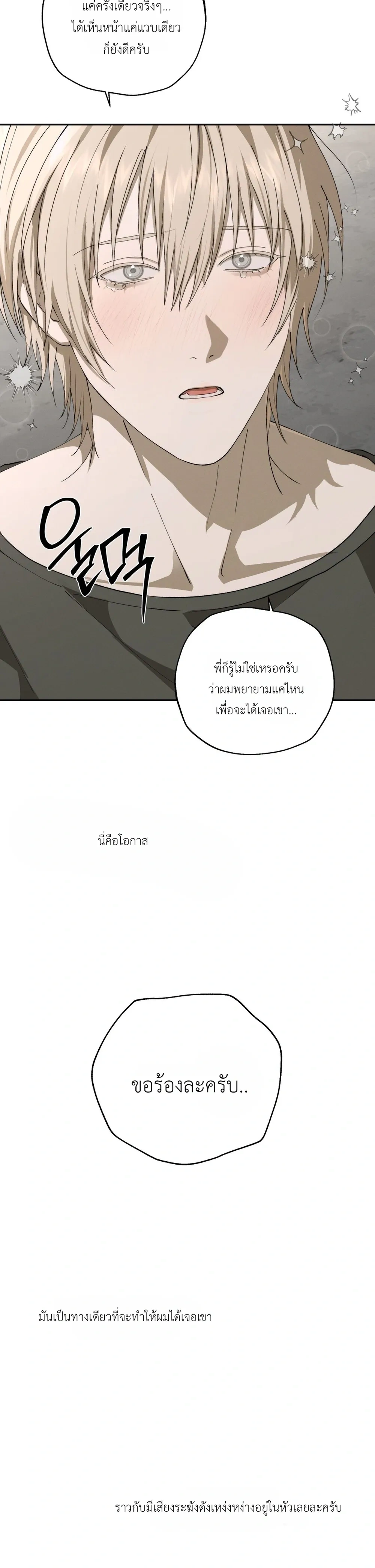 หน้า 14 จาก 29