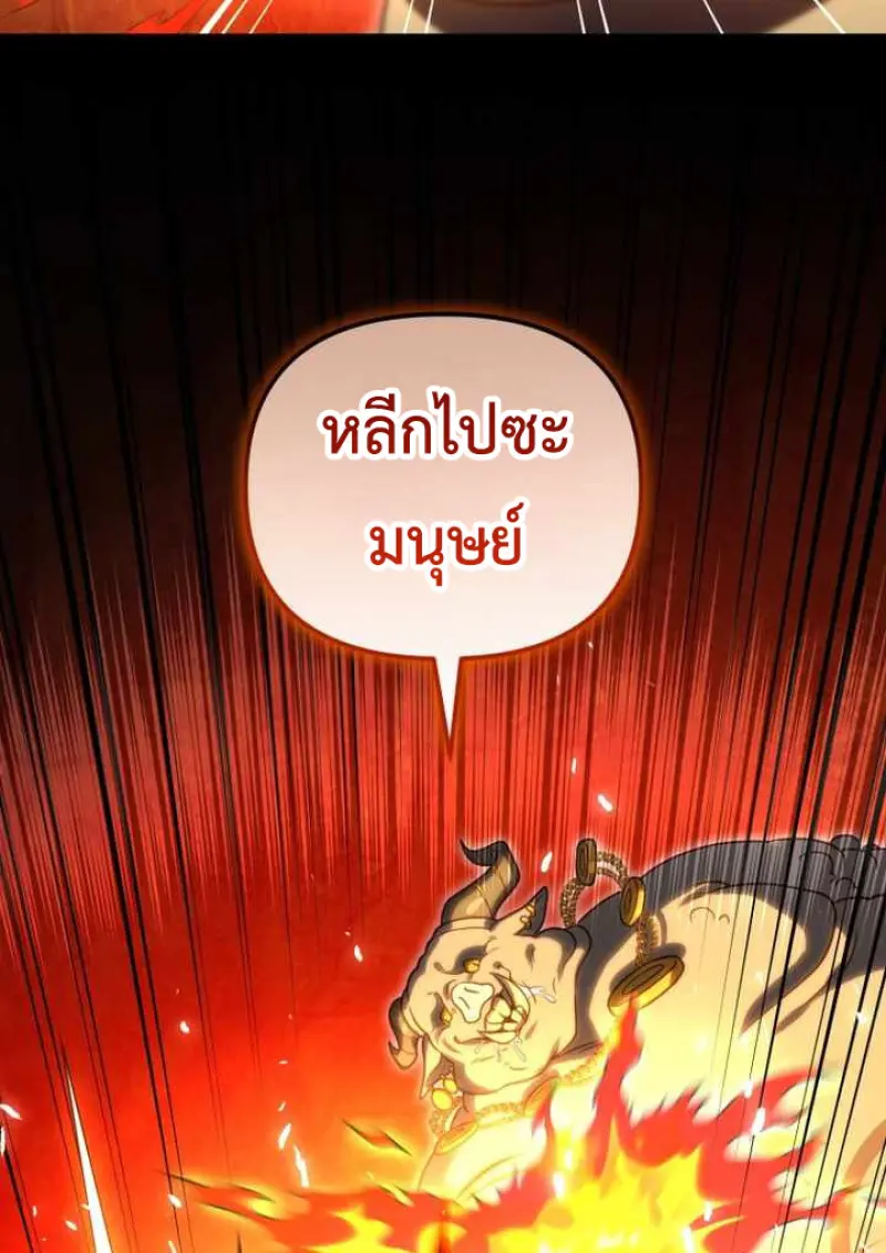 หน้า 37 จาก 146