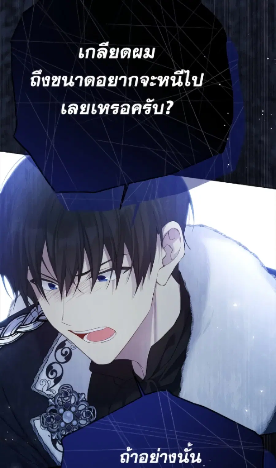 หน้า 37 จาก 95
