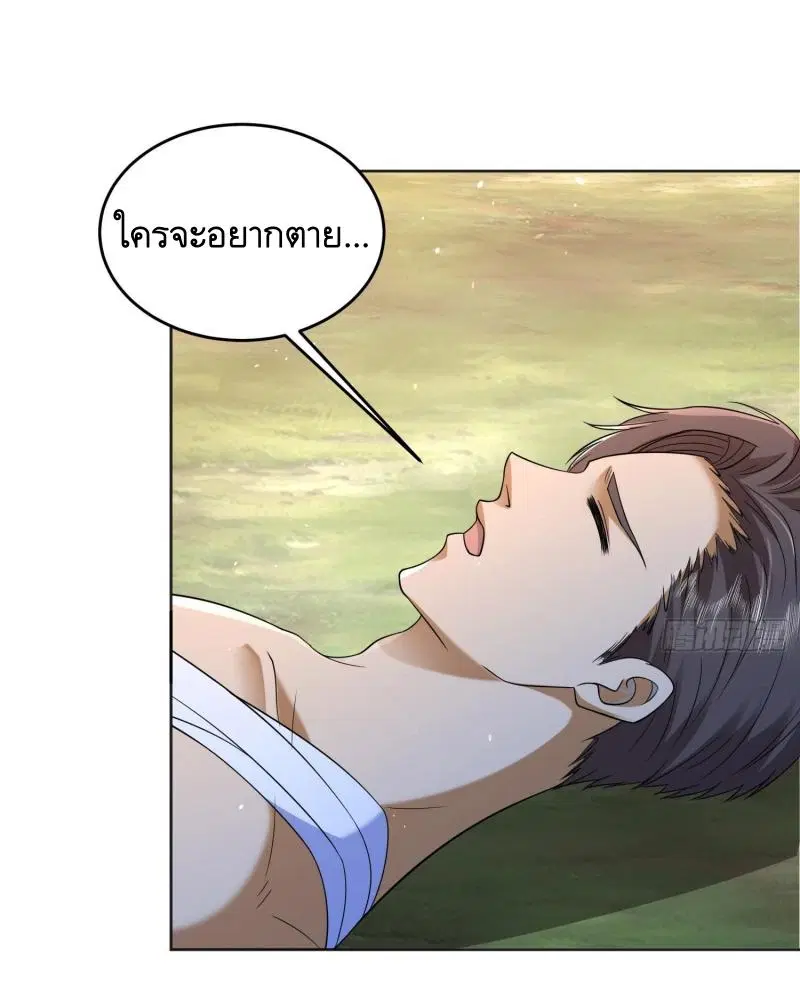 หน้า 24 จาก 44