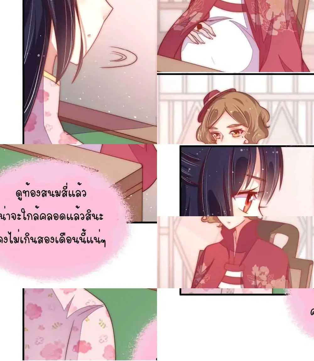 หน้า 7 จาก 13