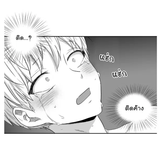 หน้า 24 จาก 40