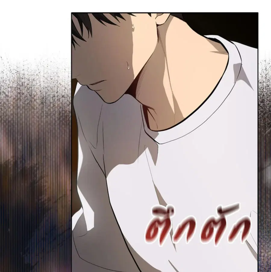 หน้า 29 จาก 146