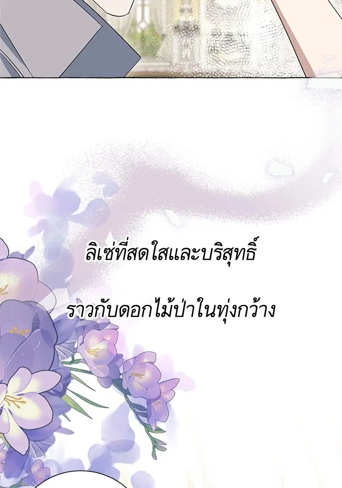หน้า 26 จาก 116