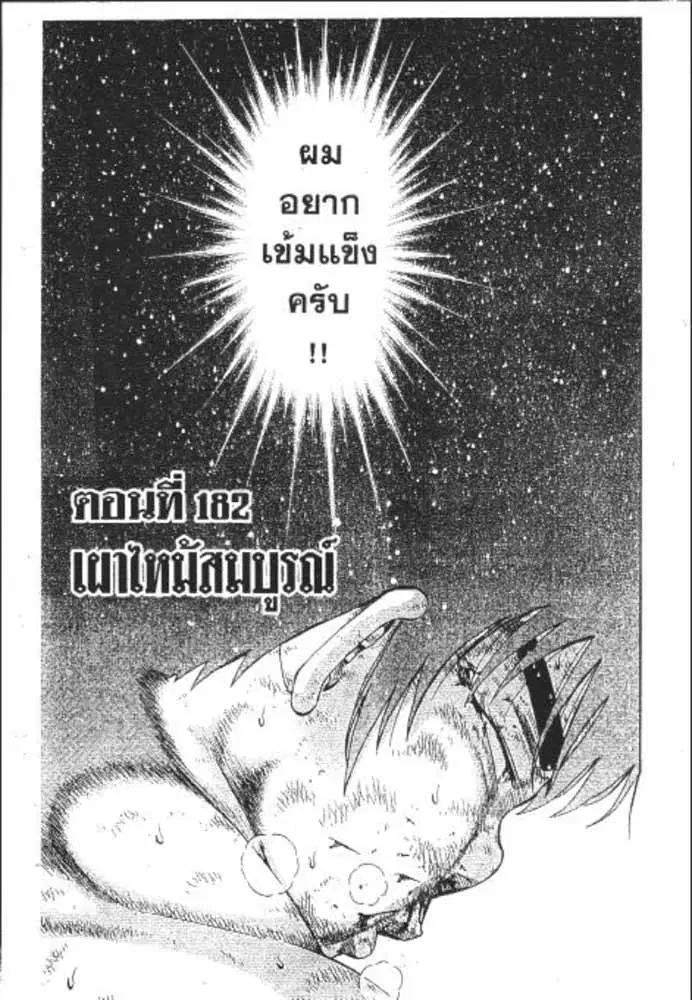 หน้า 26 จาก 29