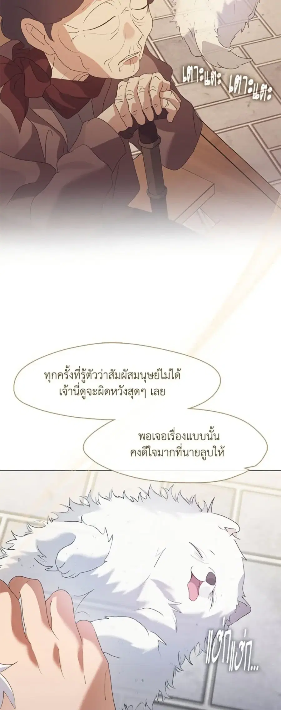 หน้า 29 จาก 52