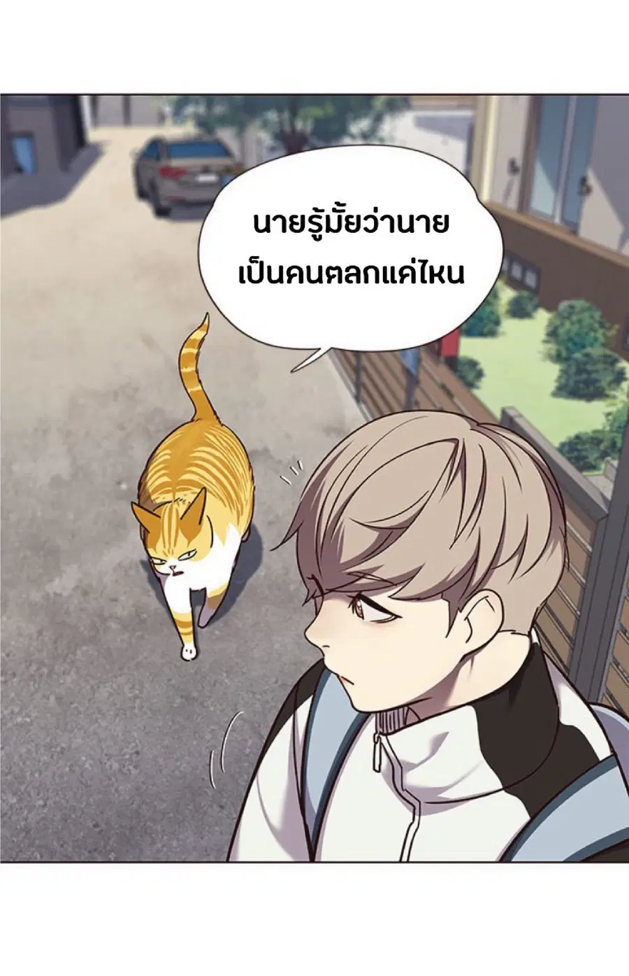 หน้า 25 จาก 80
