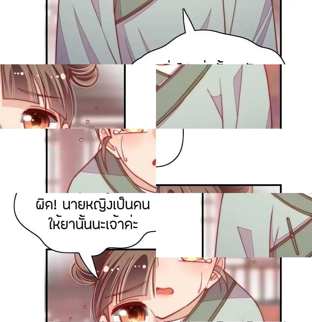 หน้า 8 จาก 14