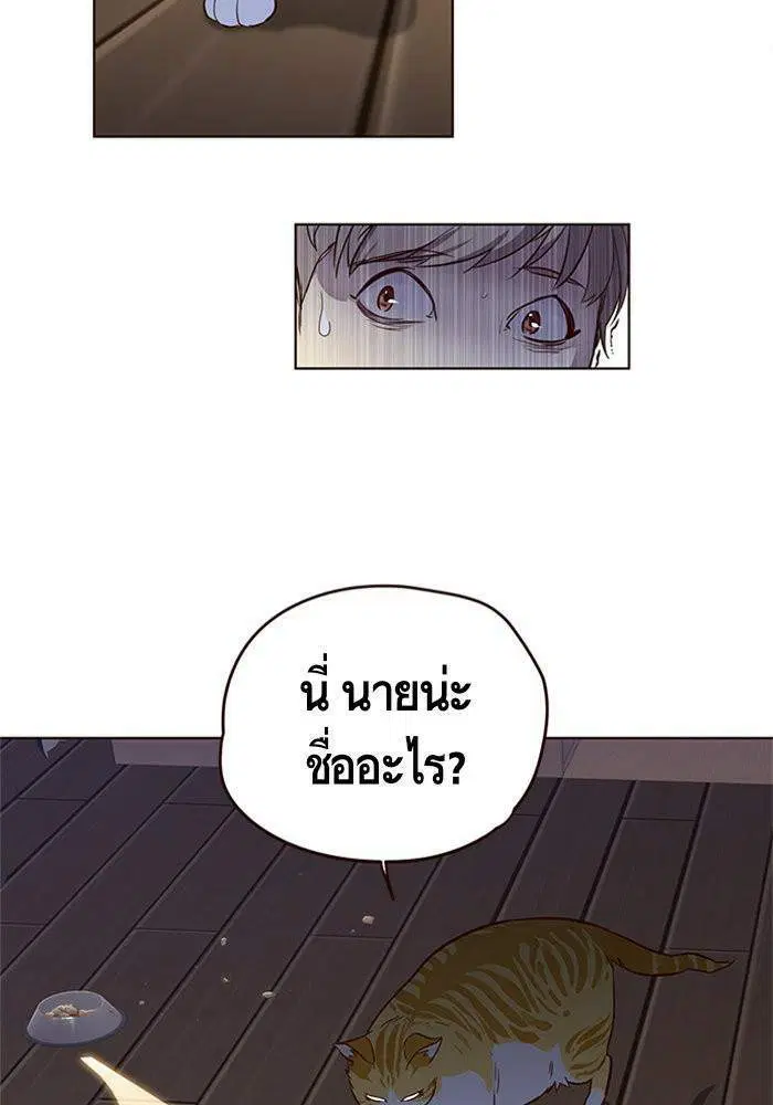 หน้า 44 จาก 59
