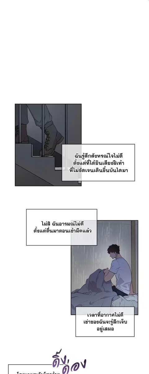 หน้า 5 จาก 29