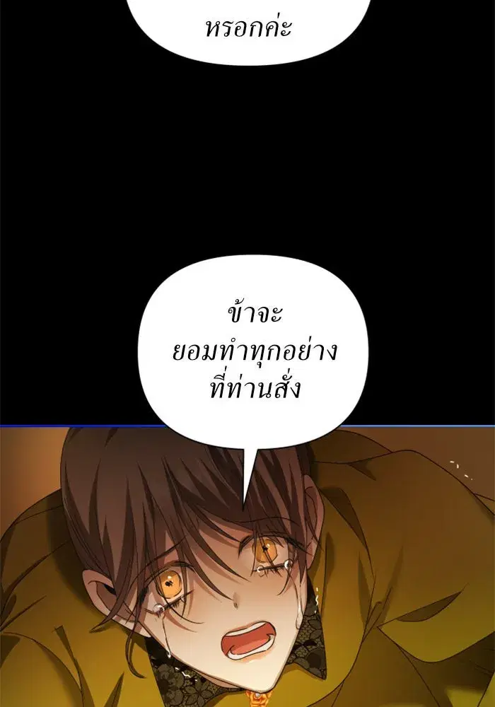 หน้า 55 จาก 161