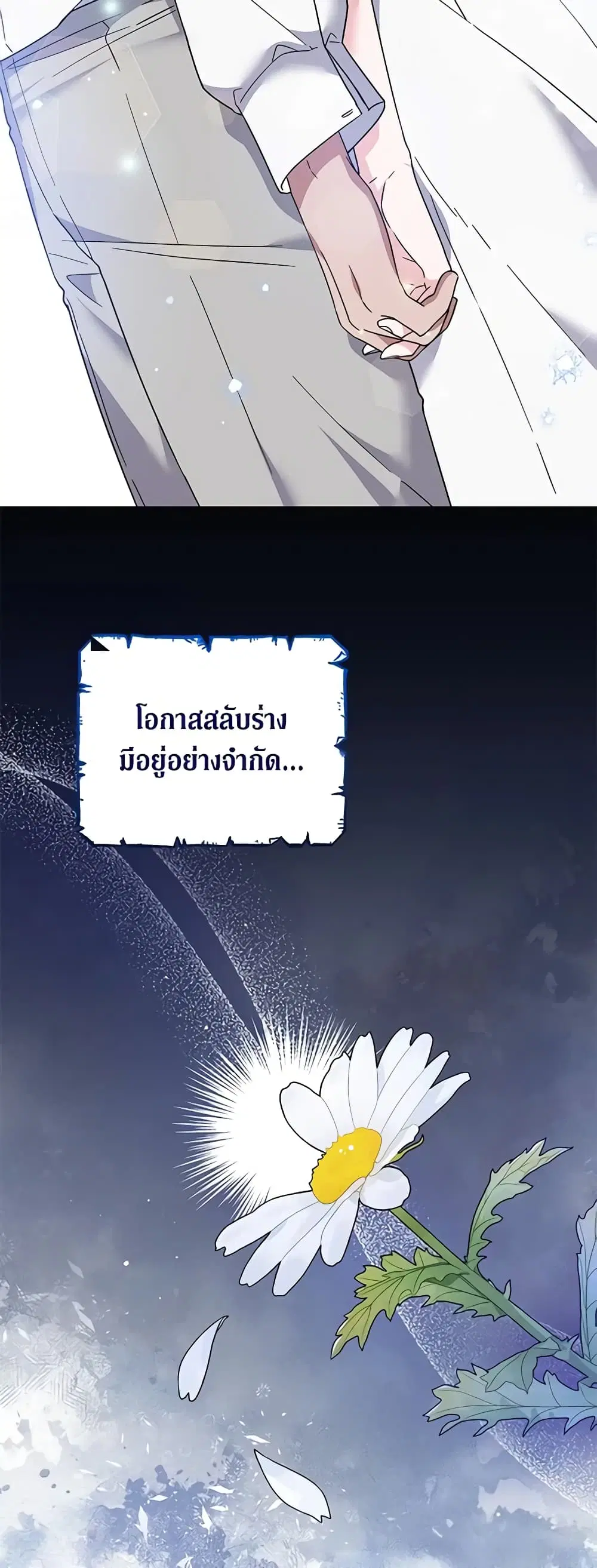 หน้า 26 จาก 50