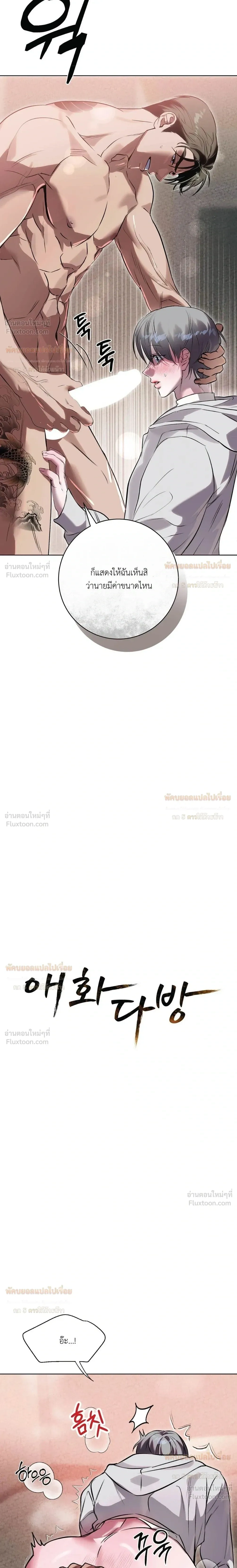 หน้า 3 จาก 21