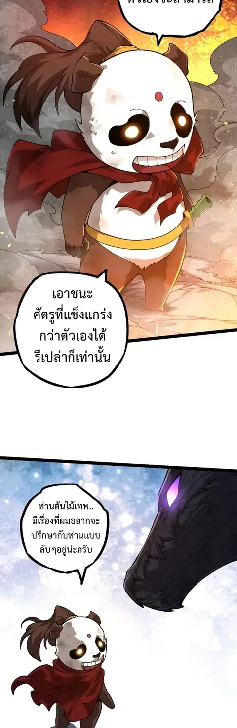หน้า 28 จาก 41