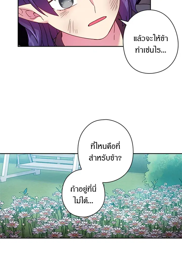หน้า 39 จาก 56
