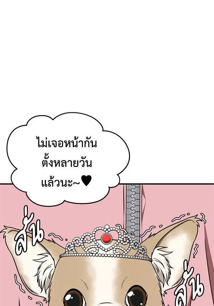 หน้า 124 จาก 163