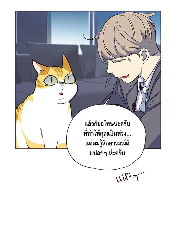 หน้า 55 จาก 94