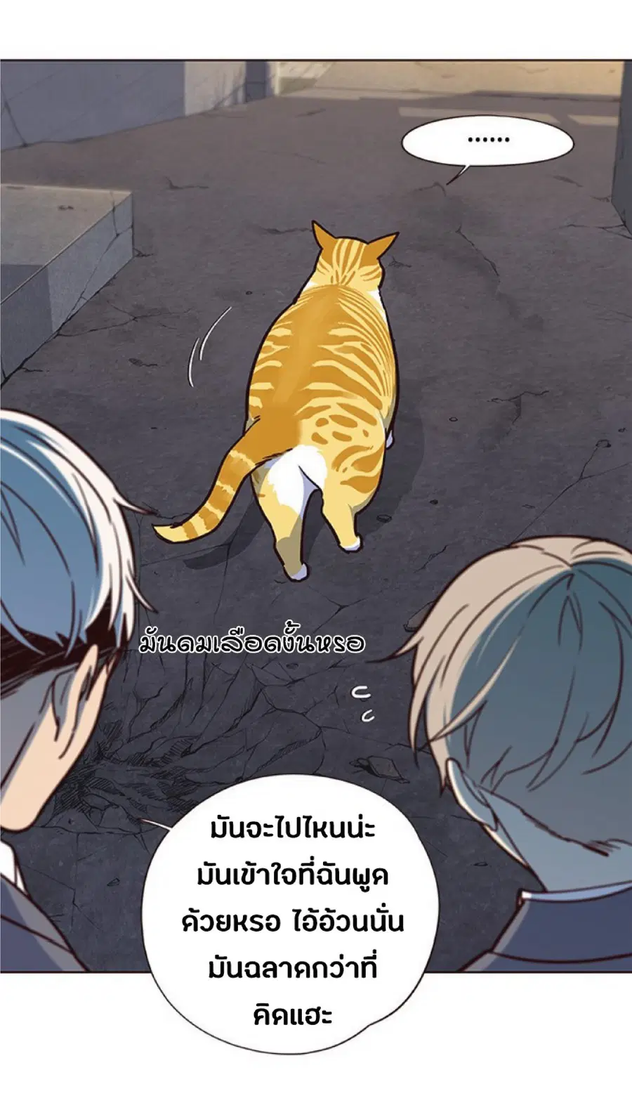 หน้า 55 จาก 85