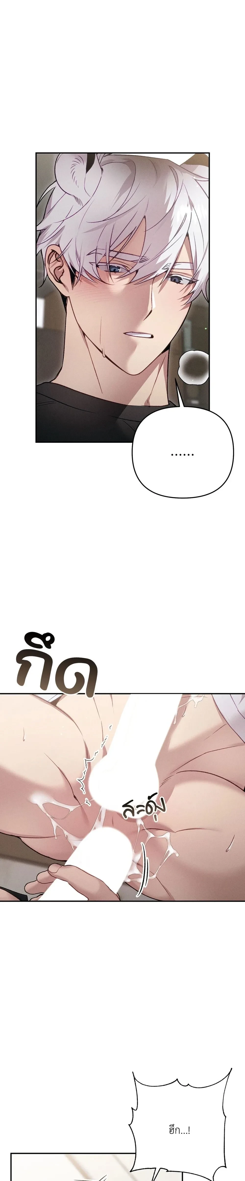 หน้า 4 จาก 31