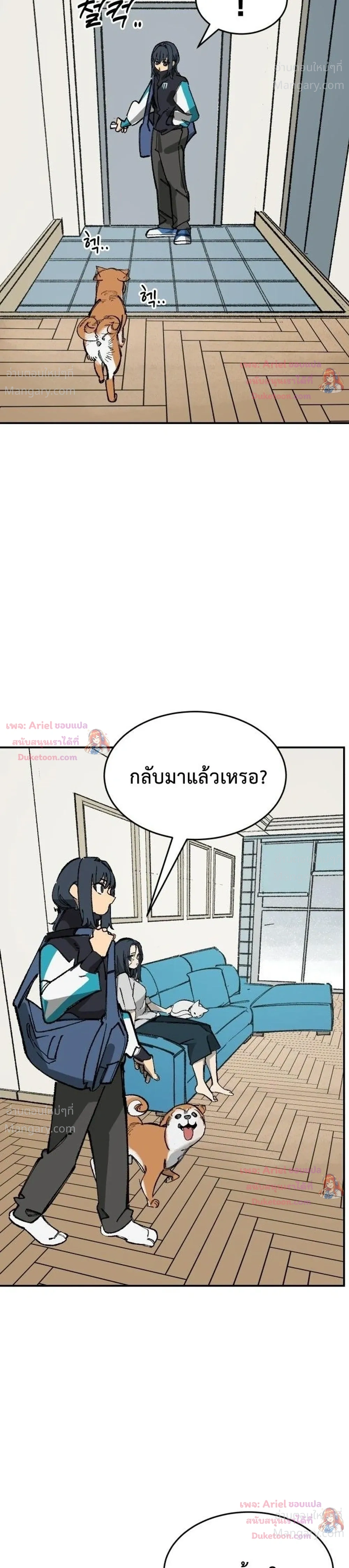 หน้า 37 จาก 47