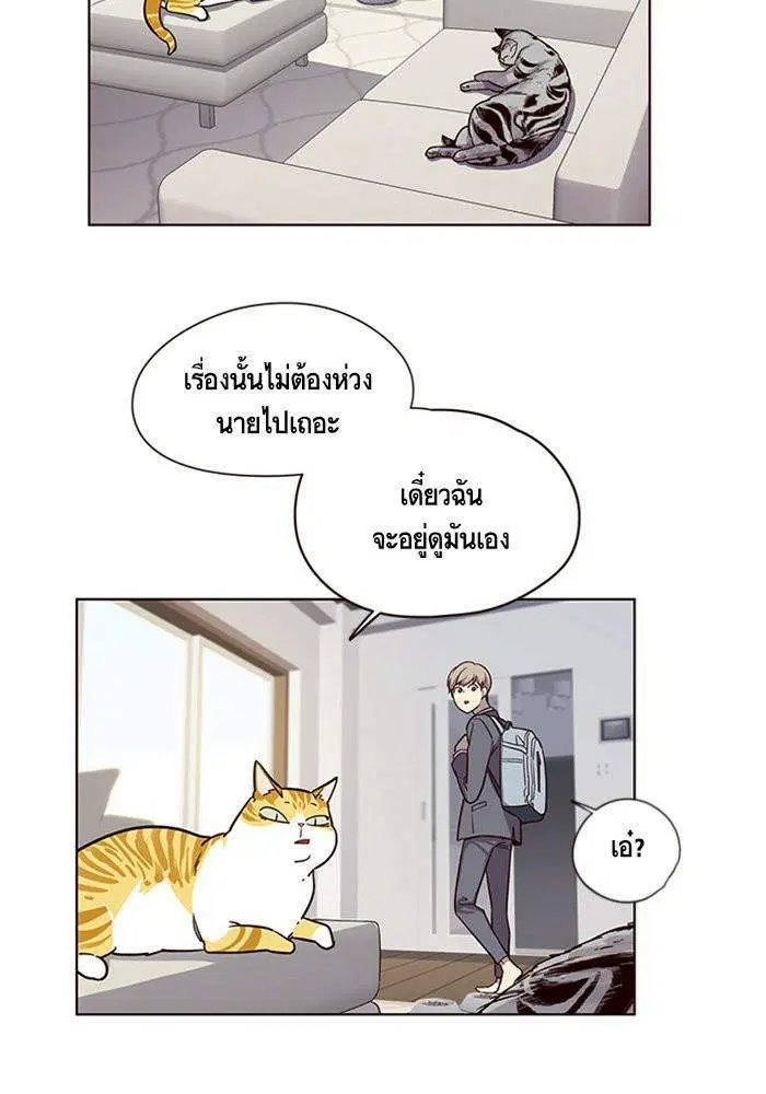 หน้า 40 จาก 85