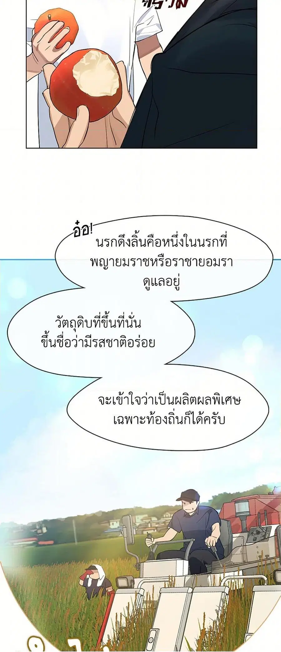 หน้า 7 จาก 52