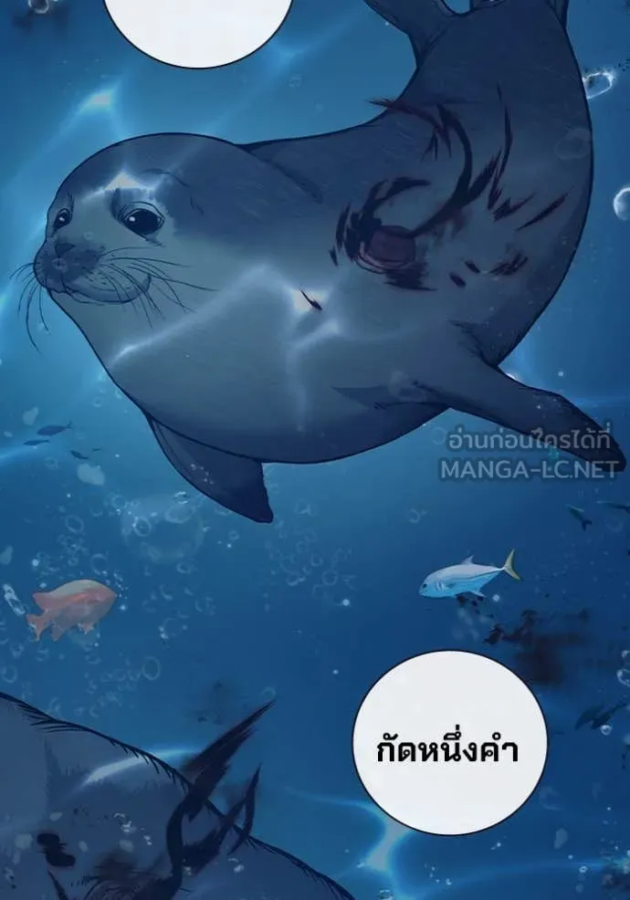 หน้า 3 จาก 245