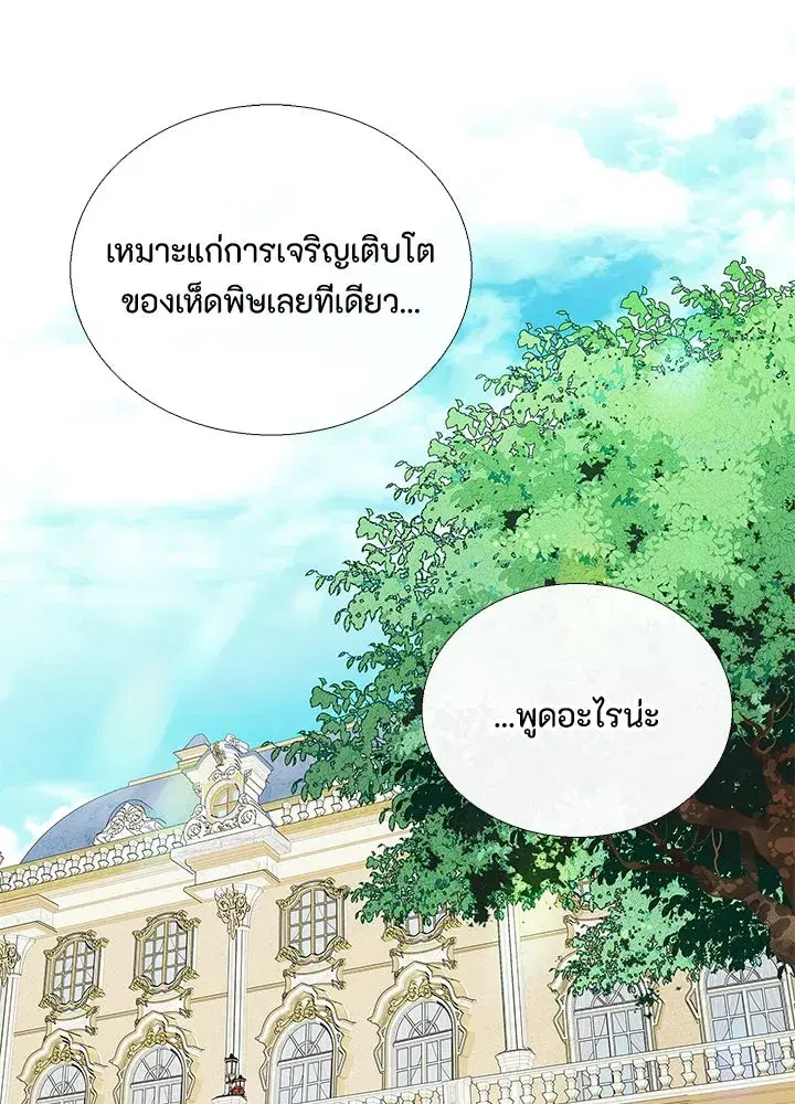 หน้า 73 จาก 106