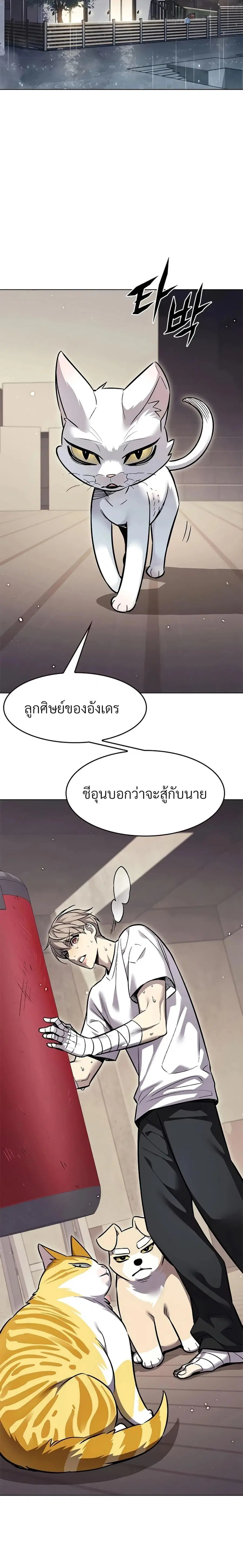 หน้า 19 จาก 23
