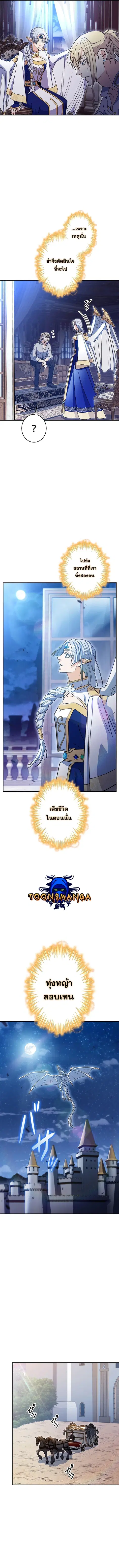 หน้า 11 จาก 13