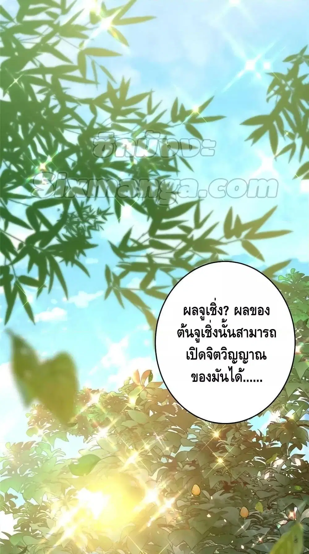 หน้า 27 จาก 42