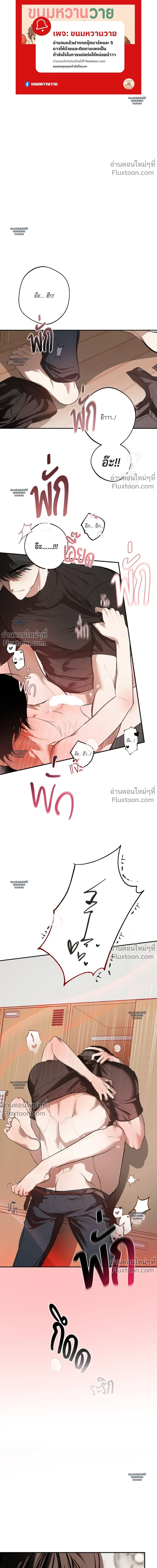 หน้า 2 จาก 31