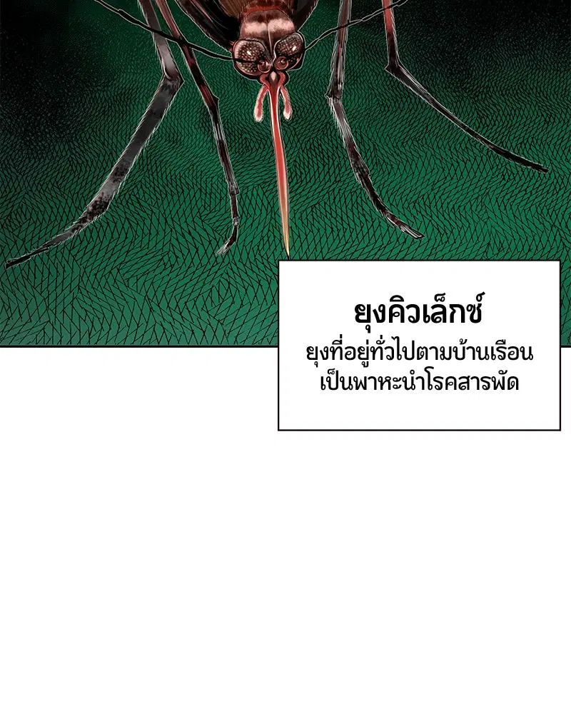 หน้า 167 จาก 185